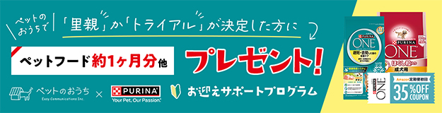 お迎えサポートプログラム実施中！