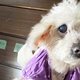 チャレンジ終了のご報告
