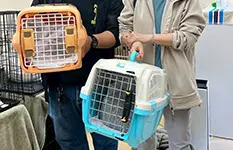 全国の譲渡会スケジュール