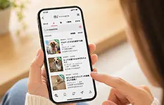 里親募集を掲載する（無料）