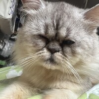 すず