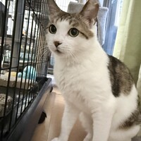 みーちゃん