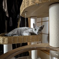 ソーニャ