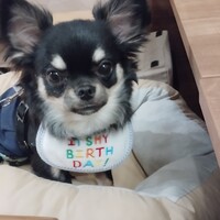 ココロ
