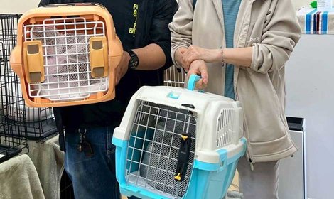 野々市シェルター 譲渡会のご報告